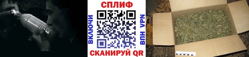 Как найти наркотики Злынка Бошки Шишки Галлюциногенные грибы ГАШ Alpha PVP