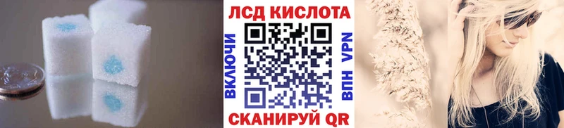 kraken онион  Злынка  Лсд 25 экстази ecstasy  как найти наркотики 