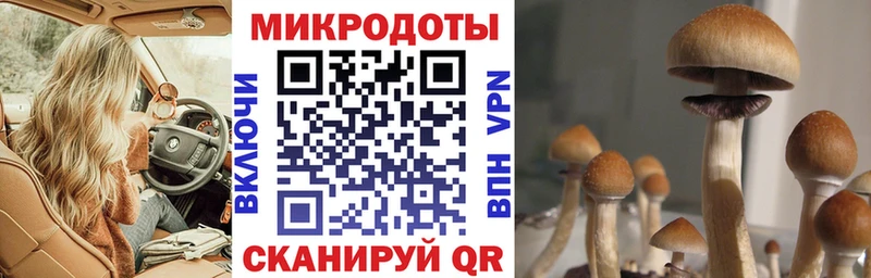 Псилоцибиновые грибы GOLDEN TEACHER Злынка