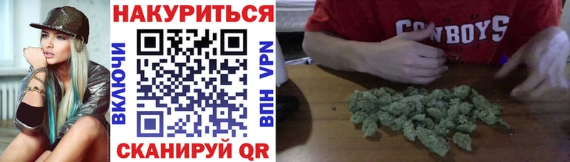 наркотики  Злынка  Бошки марихуана гибрид 